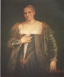 VERONESE (Paolo Caliari) La Belle Nani(Portrait of a Woman) (mk05)